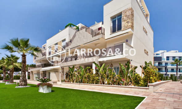Apartamento - Reventa - Guardamar del Segura - Costa Blanca