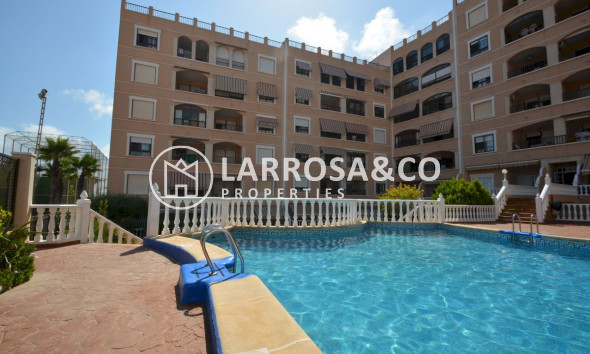 Apartamento - Reventa - Guardamar del Segura - Guardamar del Segura