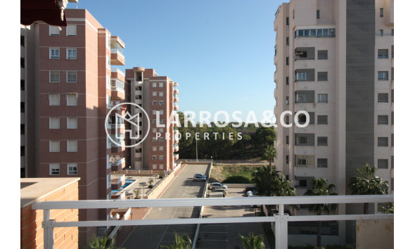 Apartamento - Reventa - Guardamar del Segura - Puerto