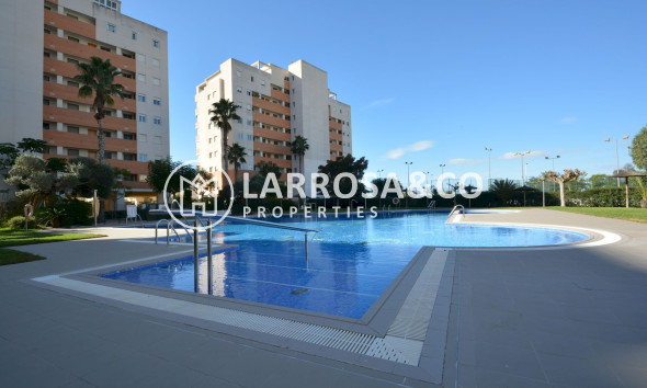 Apartamento - Reventa - Guardamar del Segura - SUP 7 
