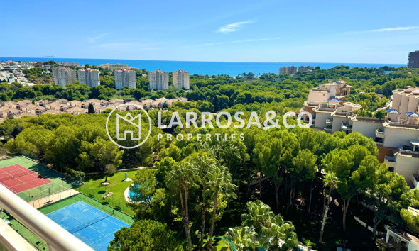 Apartamento - Reventa - Orihuela costa - Campoamor