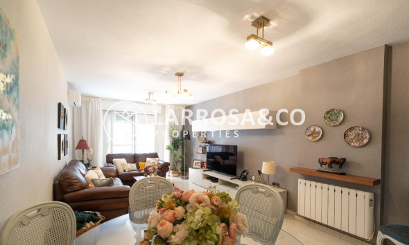 Apartamento - Reventa - Orihuela - Zona Centro