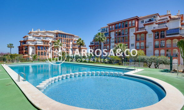Apartamento - Reventa - Torrevieja - Aguas nuevas 2
