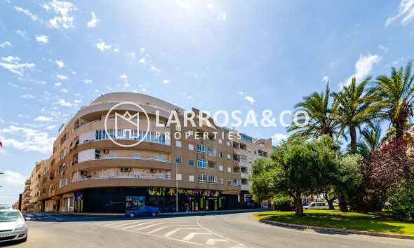 Apartamento - Reventa - Torrevieja - Centro