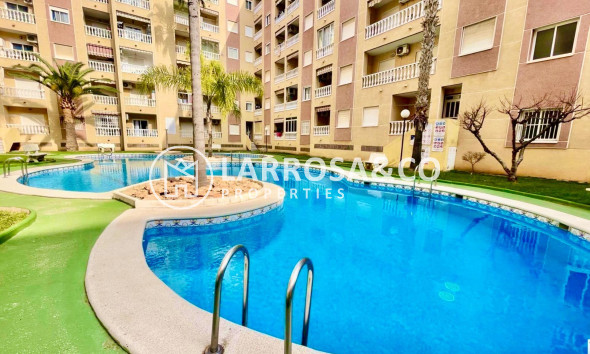 Apartamento - Reventa - Torrevieja - Centro