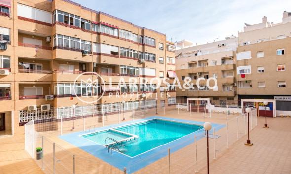 Apartamento - Reventa - Torrevieja - El molino