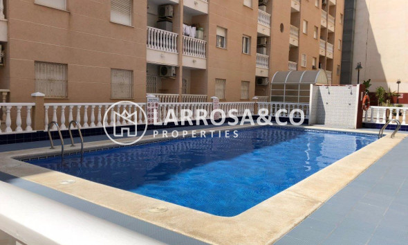 Apartamento - Reventa - Torrevieja - Estacion de autobuses