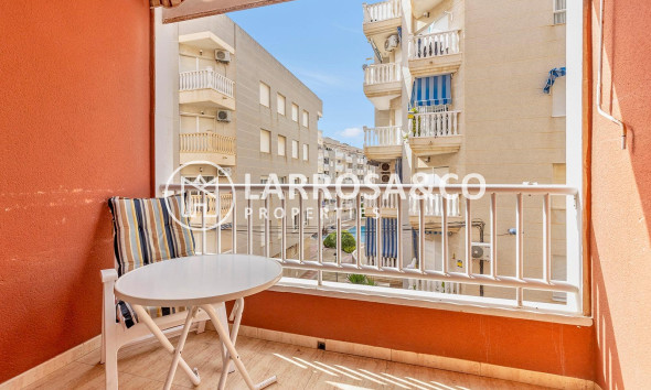 Apartamento - Reventa - Torrevieja - Estacion de autobuses