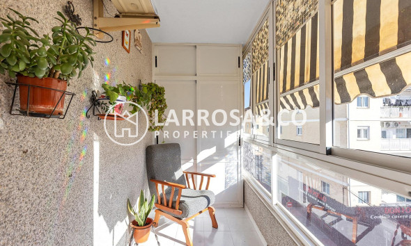 Apartamento - Reventa - Torrevieja - Estacion de autobuses