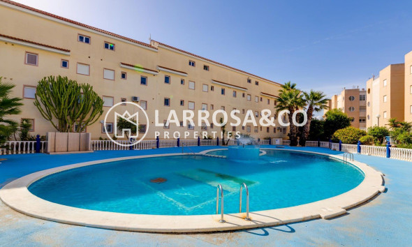 Apartamento - Reventa - Torrevieja - La Siesta - El Salado - Torreta
