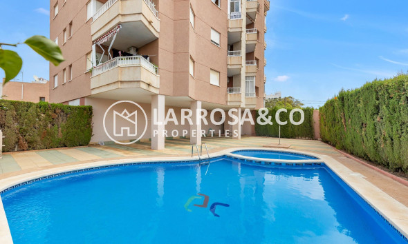 Apartamento - Reventa - Torrevieja - Nueva Torrevieja