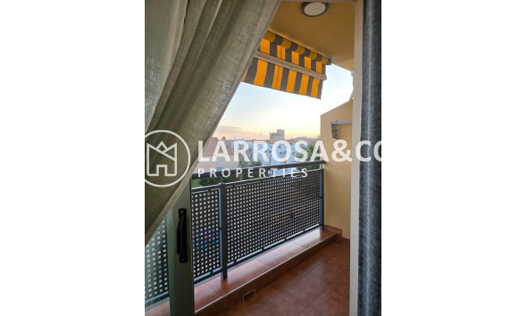 Apartamento - Reventa - Torrevieja - Nueva Torrevieja
