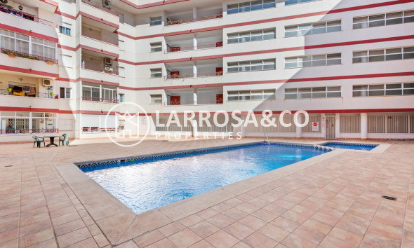 Apartamento - Reventa - Torrevieja - Parque de las Naciones