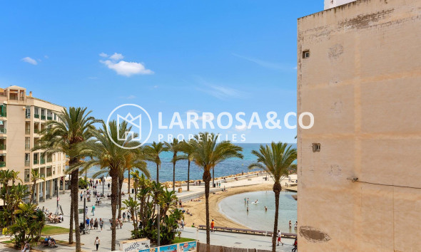 Apartamento - Reventa - Torrevieja - Paseo maritimo