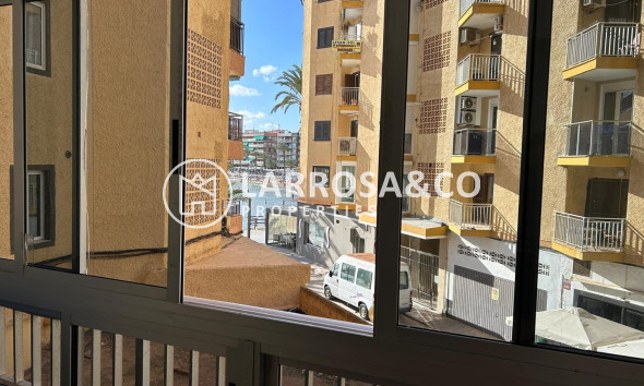 Apartamento - Reventa - Torrevieja - Playa del cura