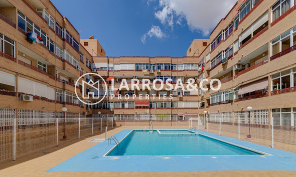 Apartamento - Reventa - Torrevieja - Playa Los Locos