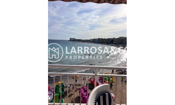 Apartamento - Reventa - Torrevieja - Playa Los Locos