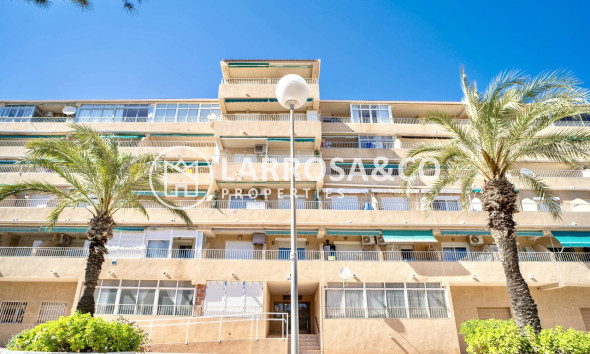 Apartment - A Vendre - Guardamar del Segura - Costa Blanca