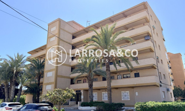 Apartment - A Vendre - Guardamar del Segura - Costa Blanca