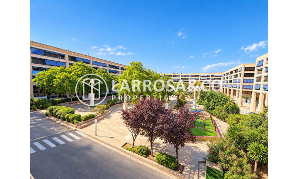 Apartment - A Vendre - Guardamar del Segura - Guardamar del Segura