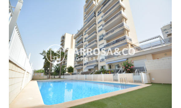 Apartment - A Vendre - Guardamar del Segura - RV2398