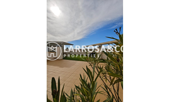Apartment - A Vendre - San Miguel de Salinas - San Miguel de Salinas