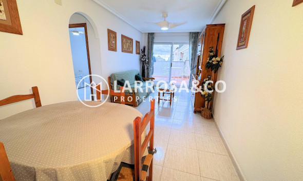 Apartment - A Vendre - Torrevieja - ASV-19025