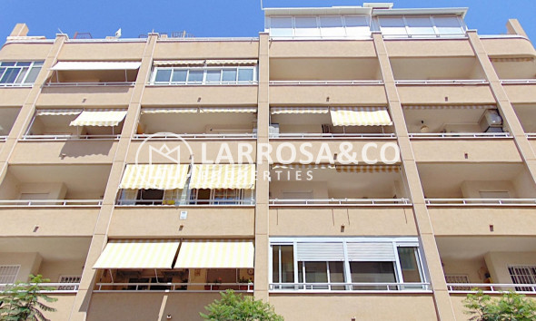 Apartment - A Vendre - Torrevieja - ASV-38575