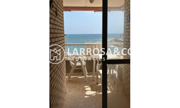 Apartment - A Vendre - Torrevieja - ASV-53187