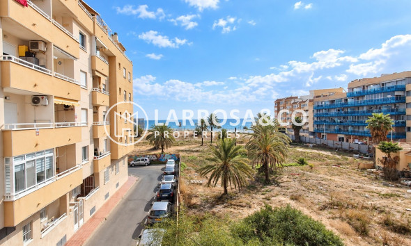 Apartment / Duplex - Herverkoop - Torrevieja - torrevieja