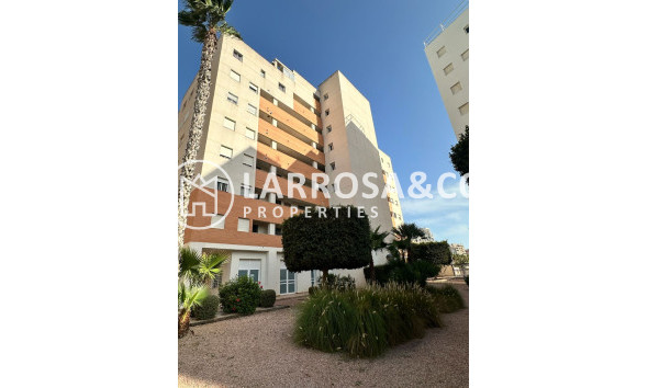 Apartment - Herverkoop - Guardamar del Segura - Avenida del Puerto