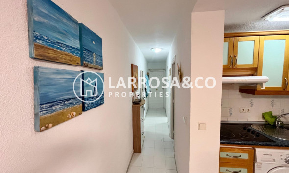 Apartment - Herverkoop - Guardamar del Segura - Centro