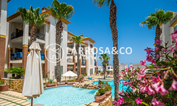 Apartment - Herverkoop - Guardamar del Segura - Costa Blanca