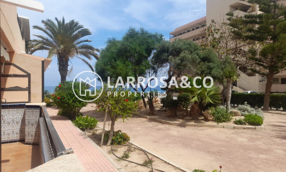 Apartment - Herverkoop - Torrevieja - ASV-22615