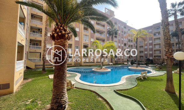 Apartment - Herverkoop - Torrevieja - Centro