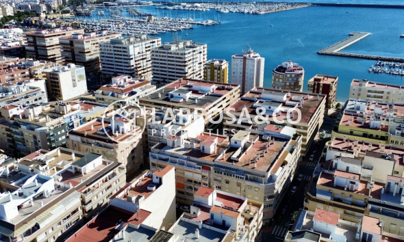 Apartment - Herverkoop - Torrevieja - Costa Blanca