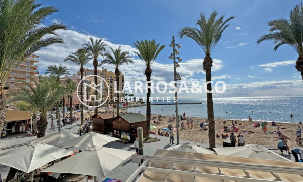Apartment - Herverkoop - Torrevieja - Costa Blanca