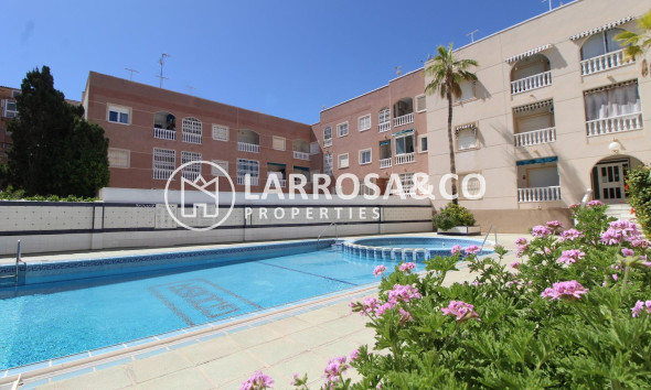Apartment - Herverkoop - Torrevieja - Curva del Palangre