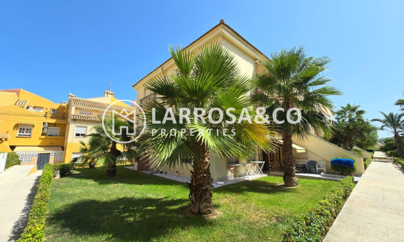 Apartment - Herverkoop - Torrevieja - Eliseos playa