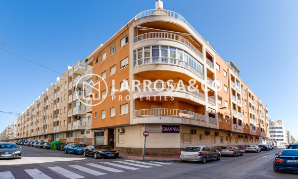 Apartment - Herverkoop - Torrevieja - Estacion de autobuses