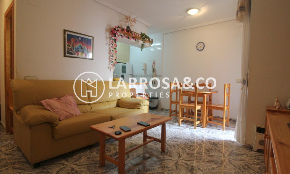 Apartment - Herverkoop - Torrevieja - Estacion de autobuses