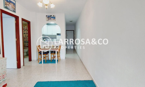 Apartment - Herverkoop - Torrevieja - Estacion de autobuses