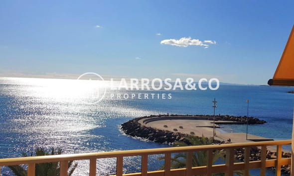 Apartment - Herverkoop - Torrevieja - Estacion de autobuses