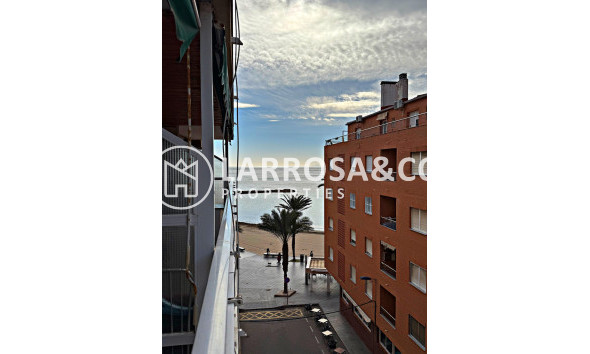 Apartment - Herverkoop - Torrevieja - Playa del cura