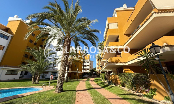 Apartment - Herverkoop - Torrevieja - Punta Prima