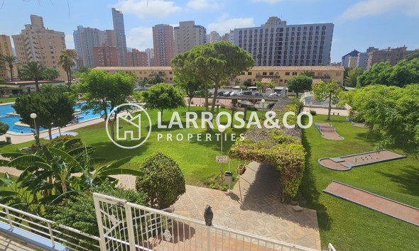 Apartment - Resale - Benidorm - Benidorm