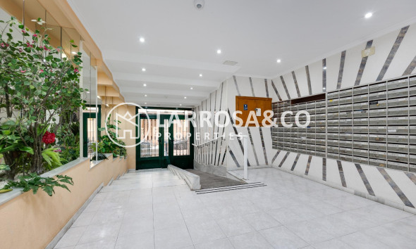 Apartment - Resale - Torrevieja - Acequion