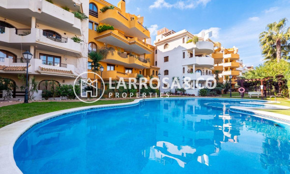 Apartment - Resale - Torrevieja - ASV-16661