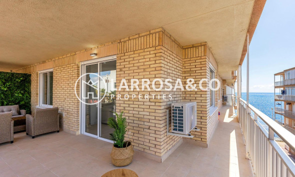 Apartment - Resale - Torrevieja - ASV-45809