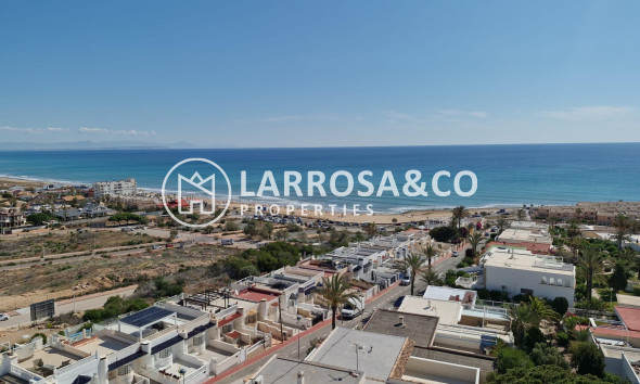 Apartment - Resale - Torrevieja - ASV-82289